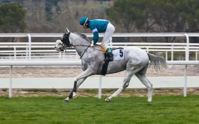 Royal Ascot: Day 2 Preview