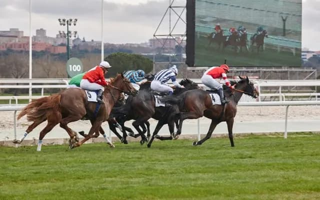 Saturday Racing: Best Bets For The Televised Action