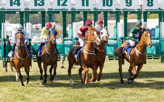 Scoop6 Bet: The Ultimate Challenge for Horse Racing Enthusiasts