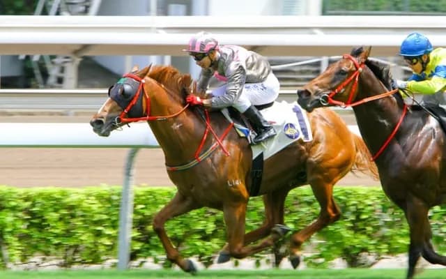 An Overview of Stakes Races in the UK