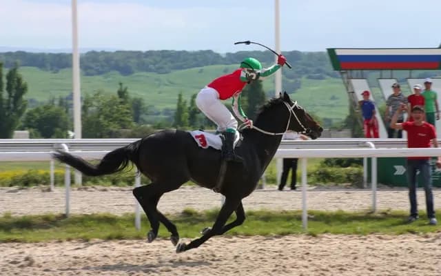 Teahupoo (Horse Review)