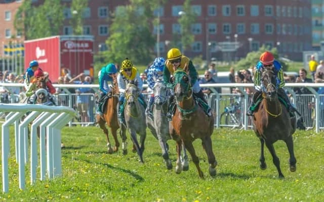 The Art of Hedging: Smart Betting Strategies for Horse Races
