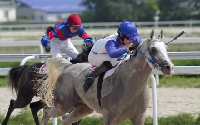 The Festival Atmosphere