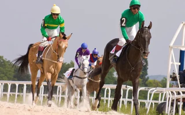 The Role of the Jockey Club 