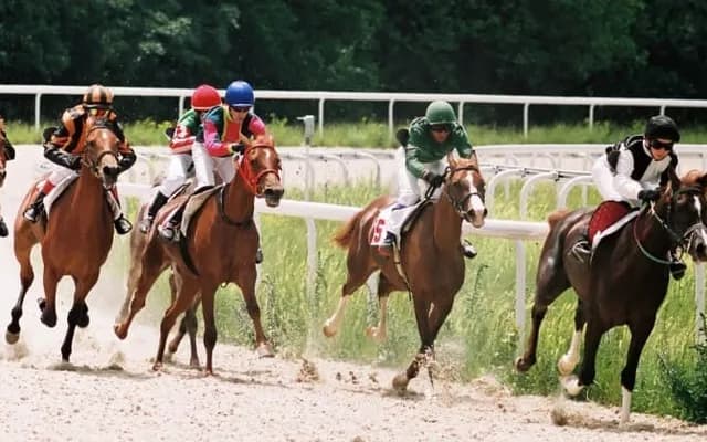 Top UK Horse Racing Tracks