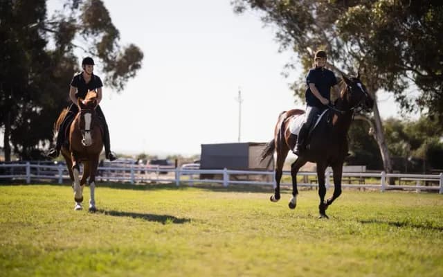 Trainer Focus: Ben Pauling: Naunton Yard on the Rise