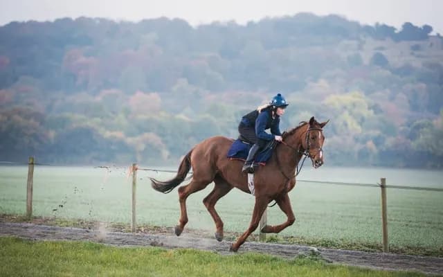 Trainer Focus: Evan Williams: Fingerpost Farm Runners to Follow