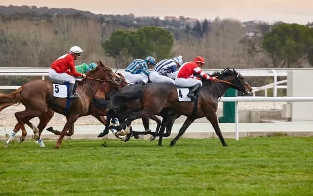 Trainer Focus: James Owen: Great Things Ahead at Green Ridge