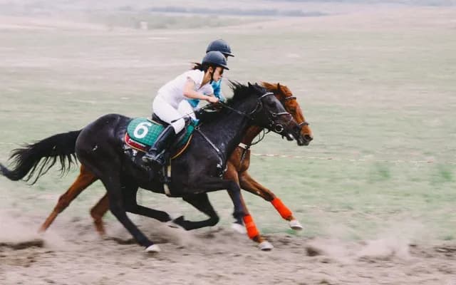 Trainer Focus: Kim Bailey: Thorndale Farm Horses to Follow