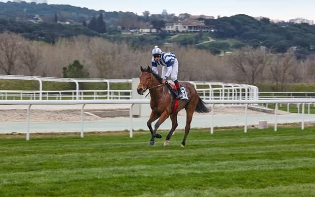 Trainer Focus: Paul Nicholls: The Denizens of Ditcheat