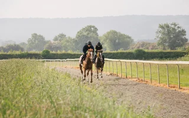Trainer Focus: Sandy Thomson: Leading Lights at Lambden Farm