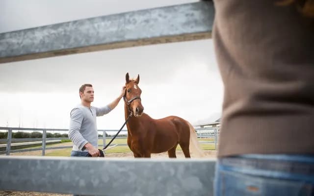 Trainer Focus: Willie Mullins: Closutton Colossus Ready to Roll