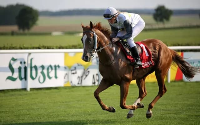 UK Horse Racing: The Essential Gear for Jockeys