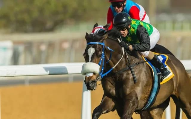 UK Jump Season: A Year in Review