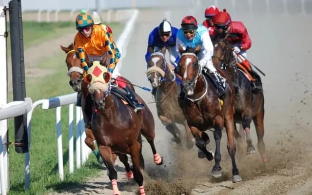 Celebrating UK's Top Equine Artists