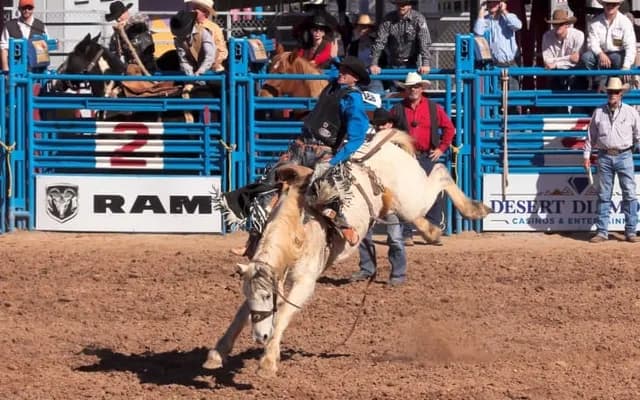 What does Void mean in Horse Racing?