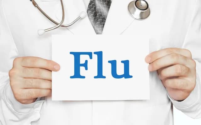 What is Equine Flu?