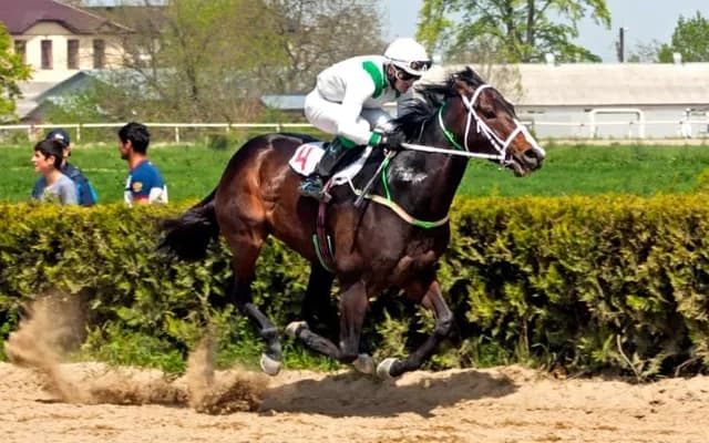 What is RPR in Horse Racing?