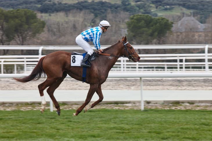 2025 Betfred Guineas Festival: Ten-Year Trends and Tips