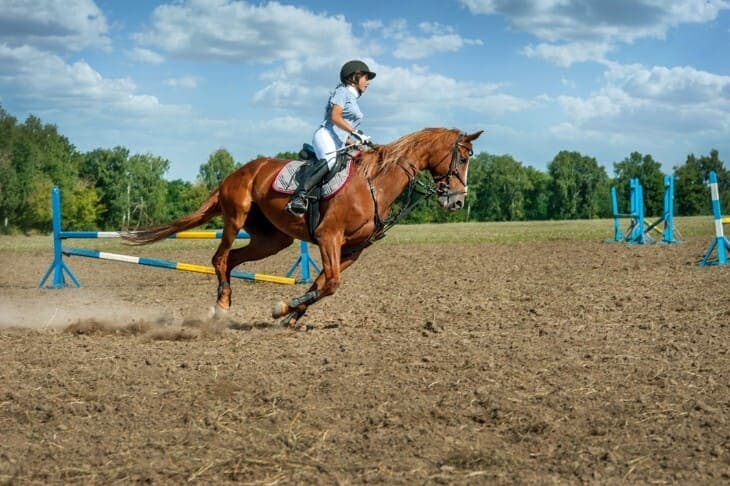 2025 Temple Stakes: Ten-Year Trends and Betting Tips