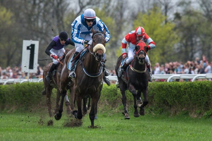 Adaptive Betting: Reacting to Events During Horse Races