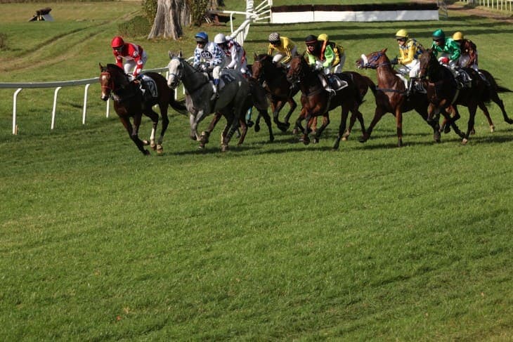 How Does a Lucky 15 Work in Horse Racing?