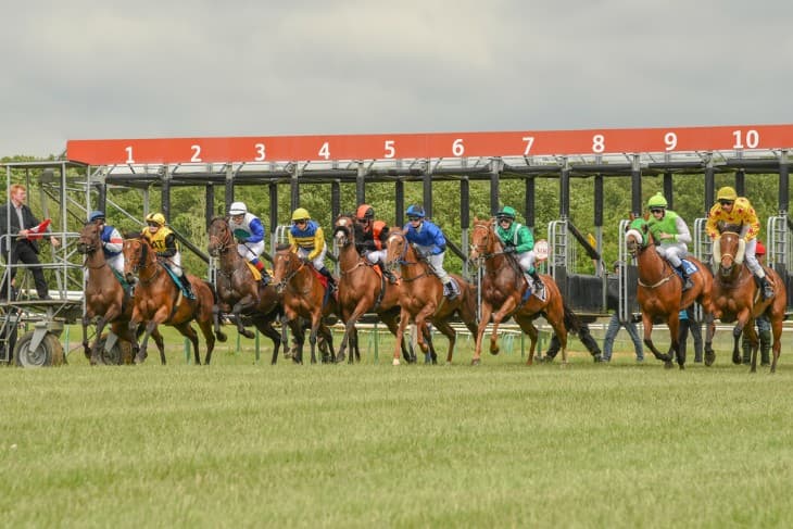 How Far is a Length in Horse Racing?