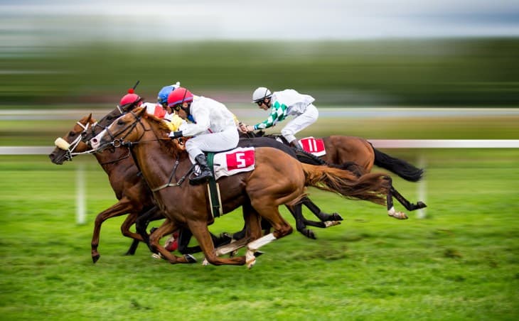 An Insider’s View of the Paddock in Horse Racing
