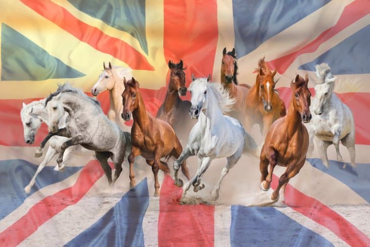 Legendary Horses in UK Racing History