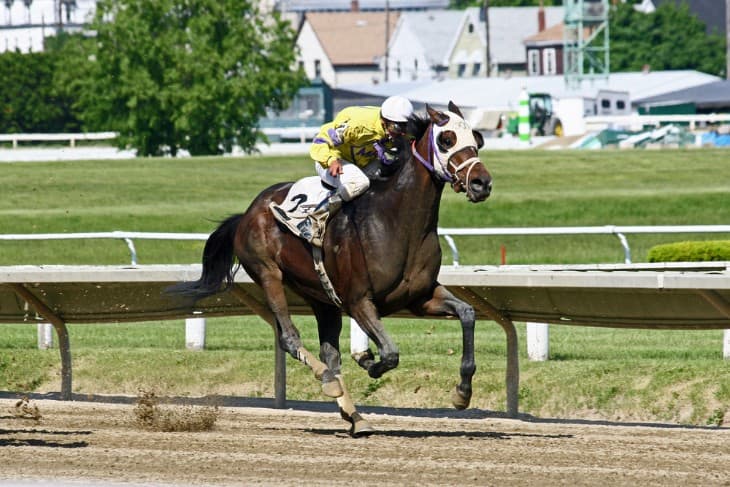 What Does Off the Bridle Mean in Horse Racing?