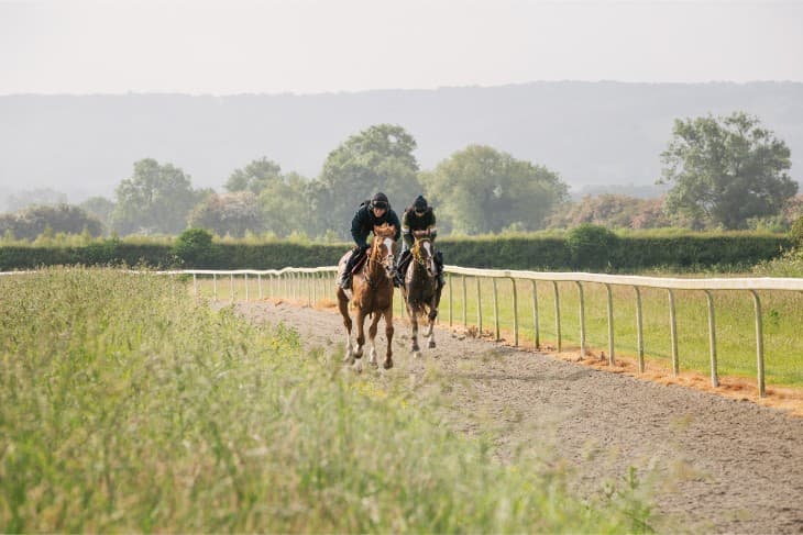 Shergar Cup 2024 Stats and Trends