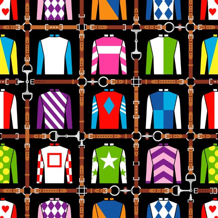 The Role of Silks in Horse Racing: History and Meaning