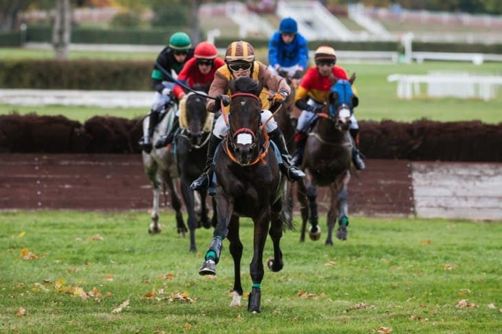 What is Jollies and Rags in Horse Racing? 