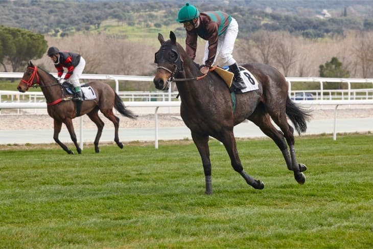 2025 Betfred 1000 Guineas: Ten-Year Trends and Betting Tips