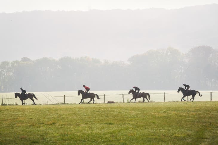2025 Betfred 2000 Guineas: Ten-Year Trends and Betting Tips