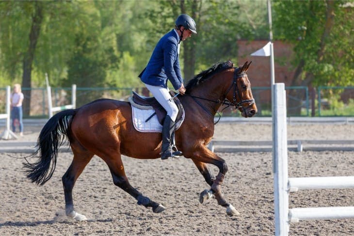 2025 Fairyhouse Easter Festival: Ten-Year Trends and Tips