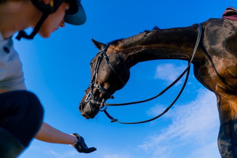 2025 July Cup: Ten-Year Trends & Betting Tips