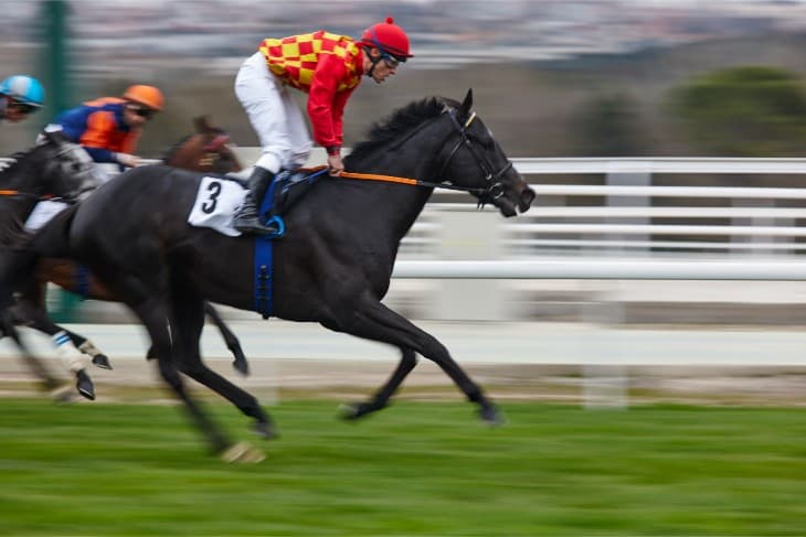 Glorious Goodwood Day 2: 2024 Best Bets