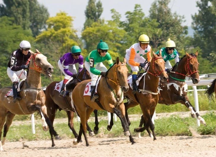 Breeding for Speed: The Science Behind Racing Horses