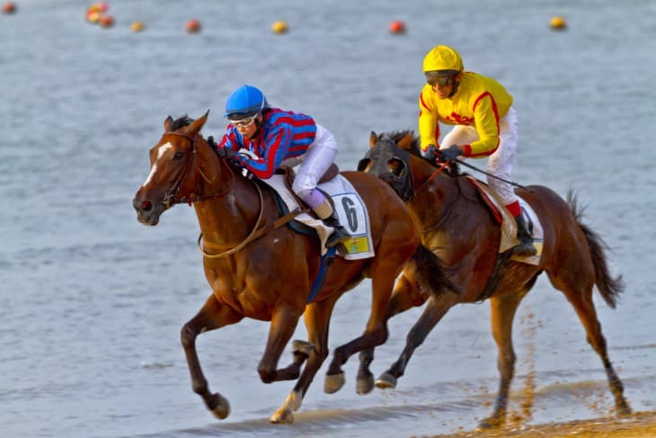 Preview of The 2024 Derby