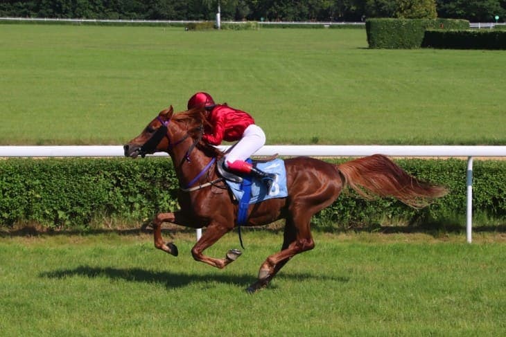 A Race Through Time: The History of the Grand National