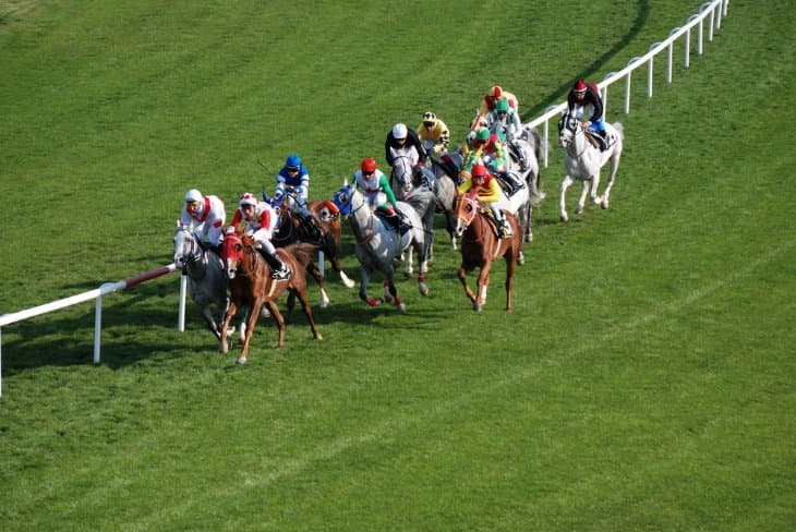 Cheltenham Races Paddock Cheltenham Festival 2024 - Full Results - Paddock Punter | Paddock Punter