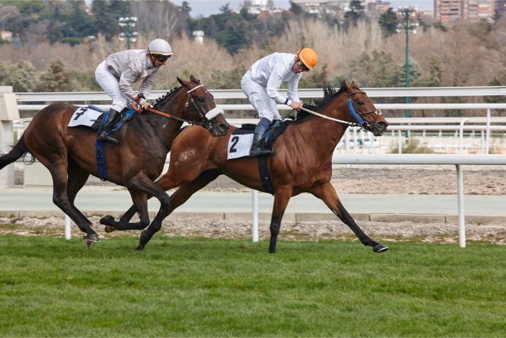 2025 bet365 Gold Cup: Ten-Year Trends and Betting Tips