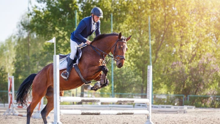2025 Bet365 Jump Finale Meeting: Ten-Year Trends and Tips