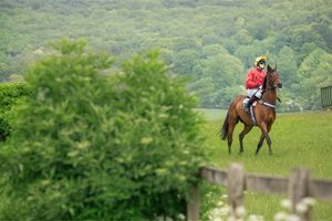 2025 Mersey Novices’ Hurdle: Ten-Year Trends and Betting Tips