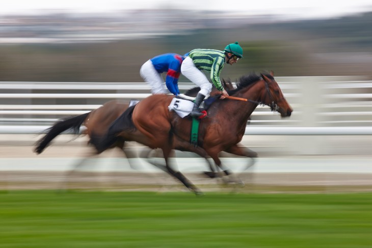 2025 Nell Gwyn Stakes: Ten-Year Trends and Betting Tips