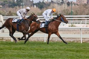 2025 Grand National Ladies Day: 10-Year Trends and Betting Tips