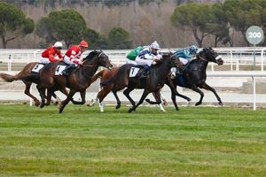 2025 Topham Chase: Ten-Year Trends and Betting Tips