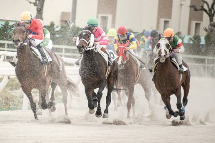 Pick 9 Bet