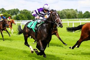 Best Horse Racing Betting Sites in the UK in 2025
